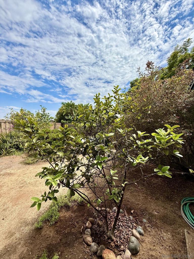 2235 Milton Court Property Photo 49