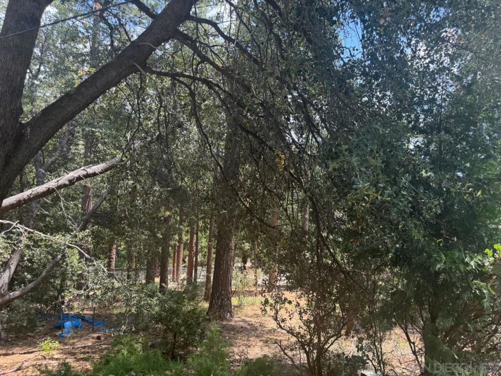 0 Big Pine Property Photo 1