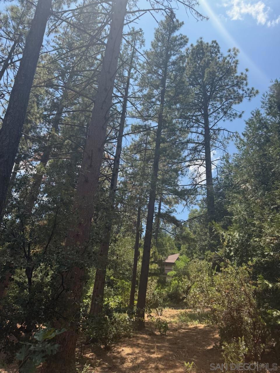 0 Big Pine Property Photo 2