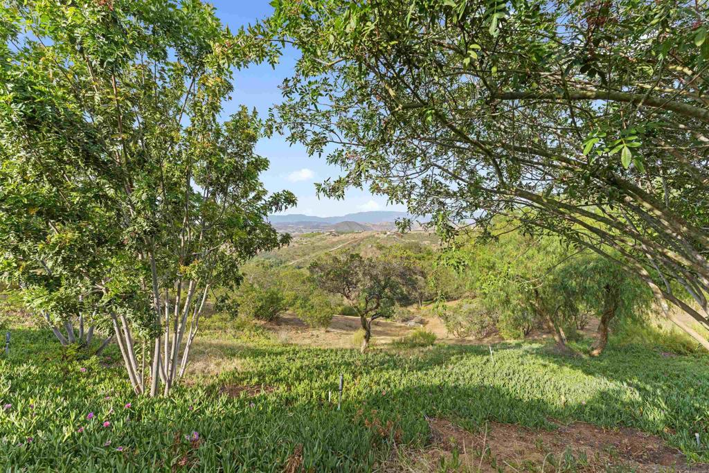 30659 Diaz Property Photo 40