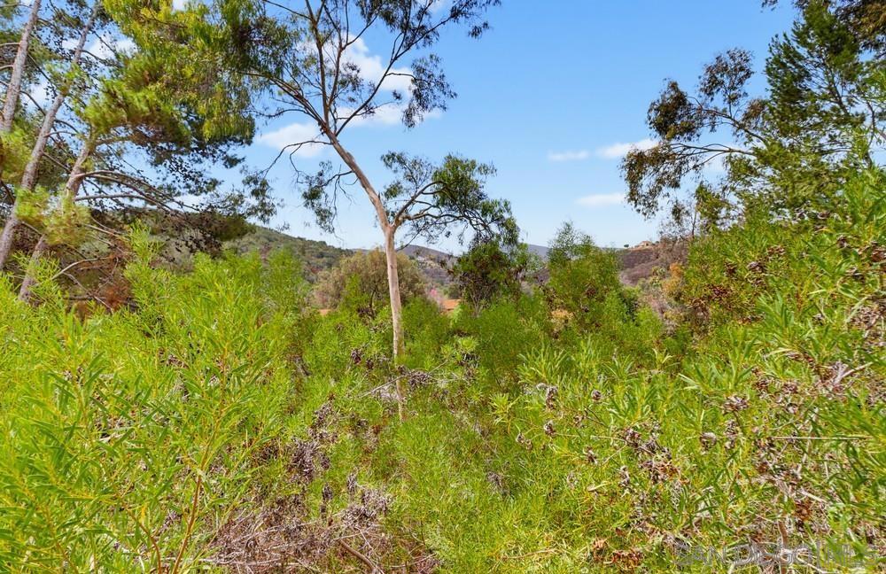 260021167SD Property Photo 16