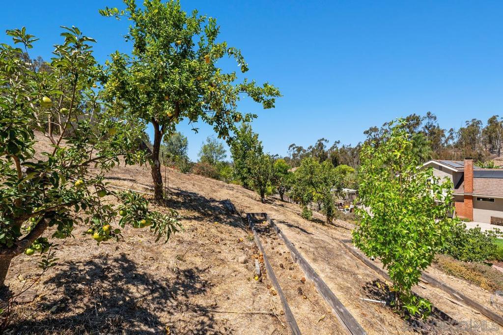 12397 Kingspine Property Photo 38