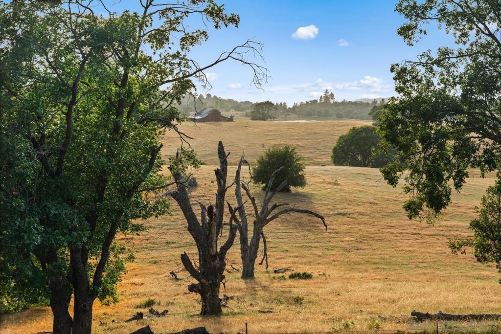 260021363SD Property Photo 61