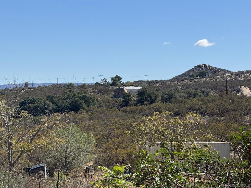 Bankhead Spring Old Highway 80 Property Photo 62