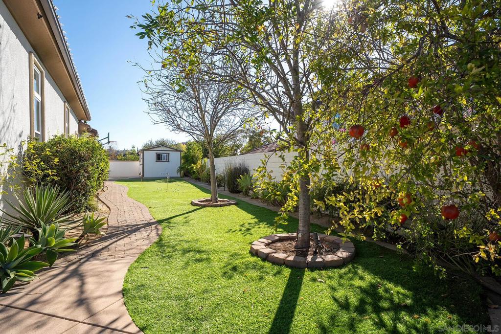 11771 Big Canyon Lane Property Photo 66