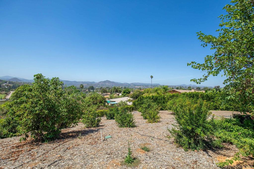 2613 Sunset Hills Property Photo 66