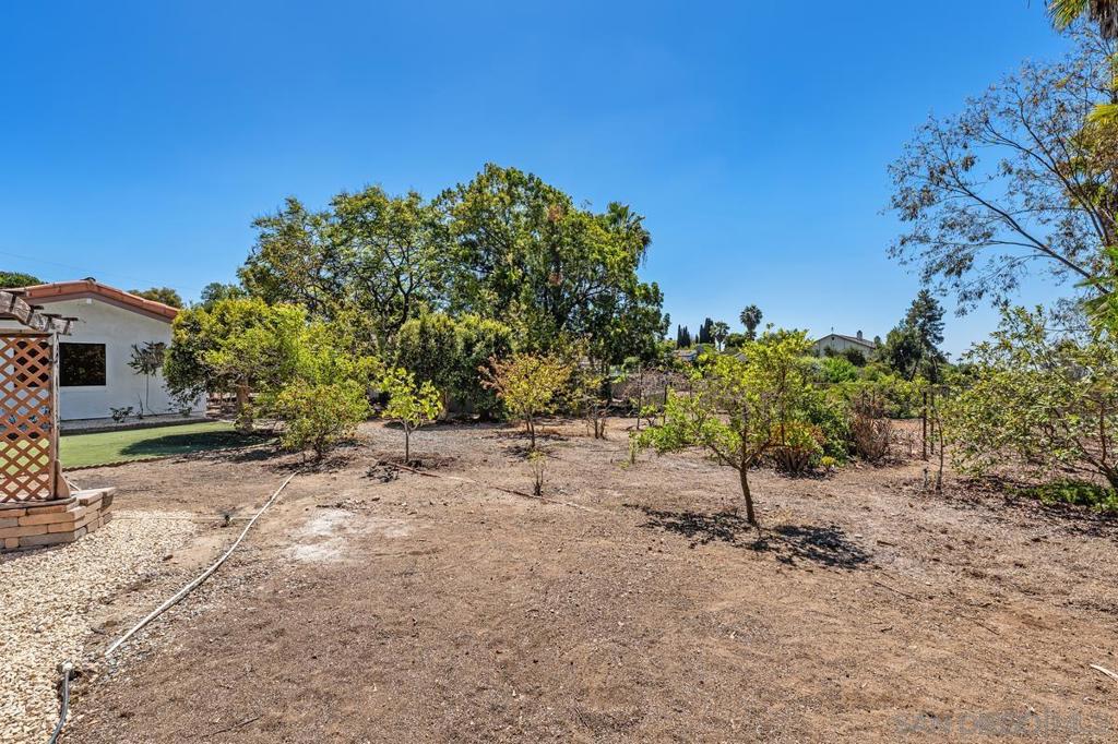 1081 Calle Mesita Property Photo 43