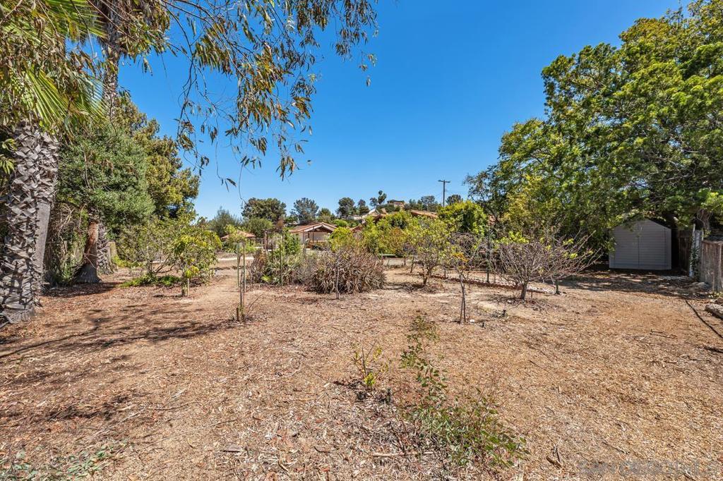 1081 Calle Mesita Property Photo 44