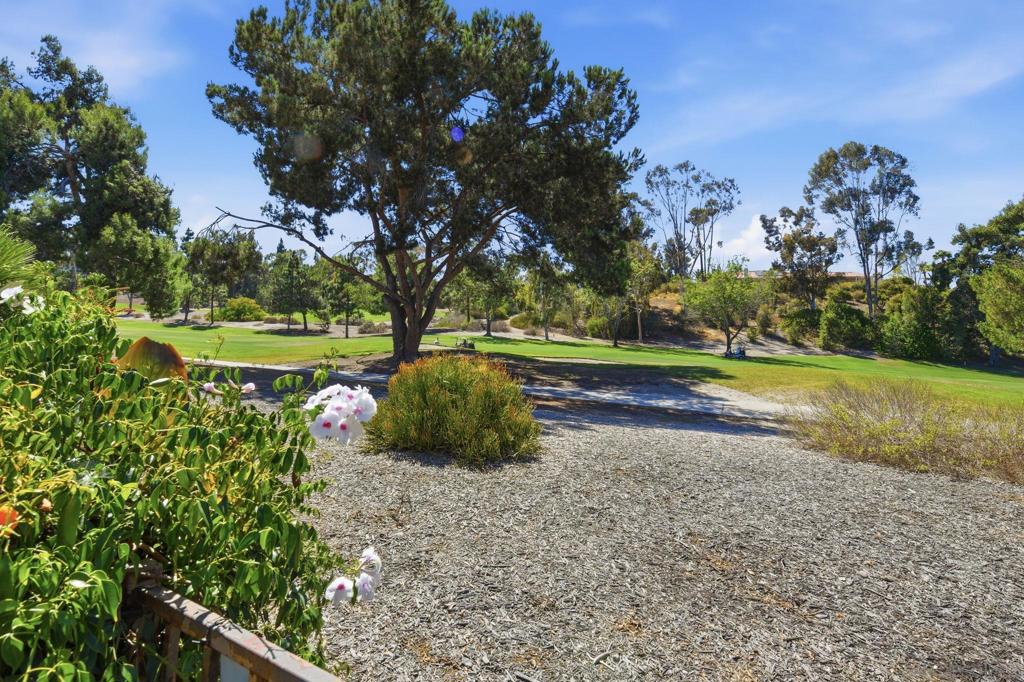 15968 Caminito Aire Puro Property Photo 6