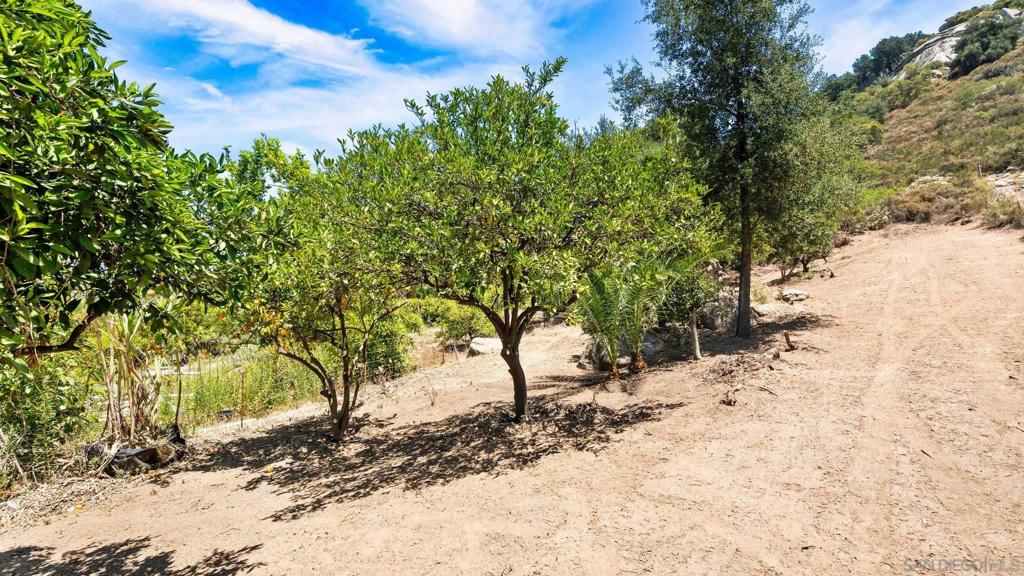 1485 Santa Fe Hills Property Photo 55