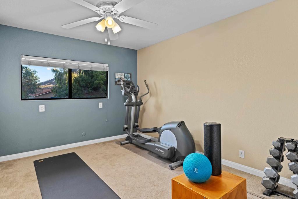 23746 Barona Mesa Property Photo 45