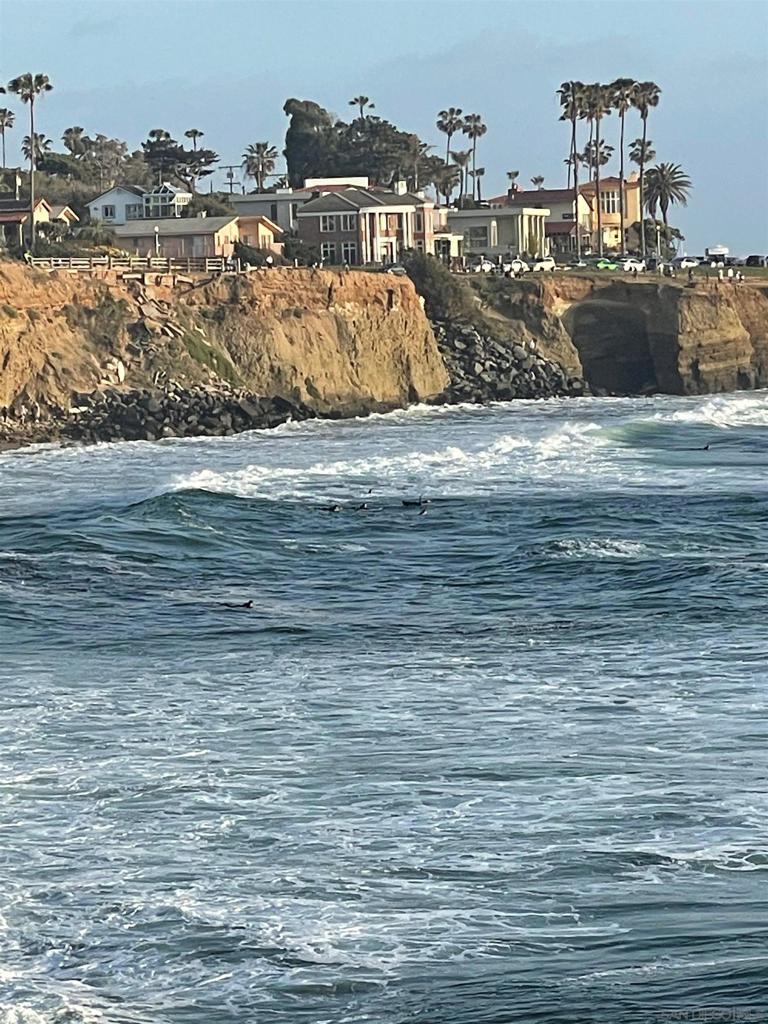1641 Sunset Cliffs Blvd Property Photo 8