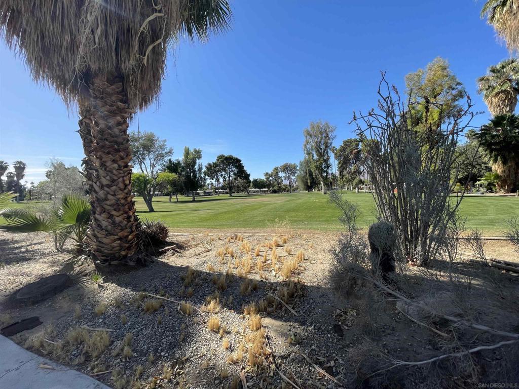 1010 Palm Canyon Dr 183 Property Photo 4