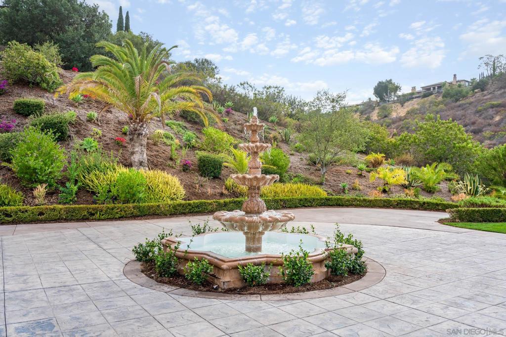 7823 Calle Cima Property Photo 4
