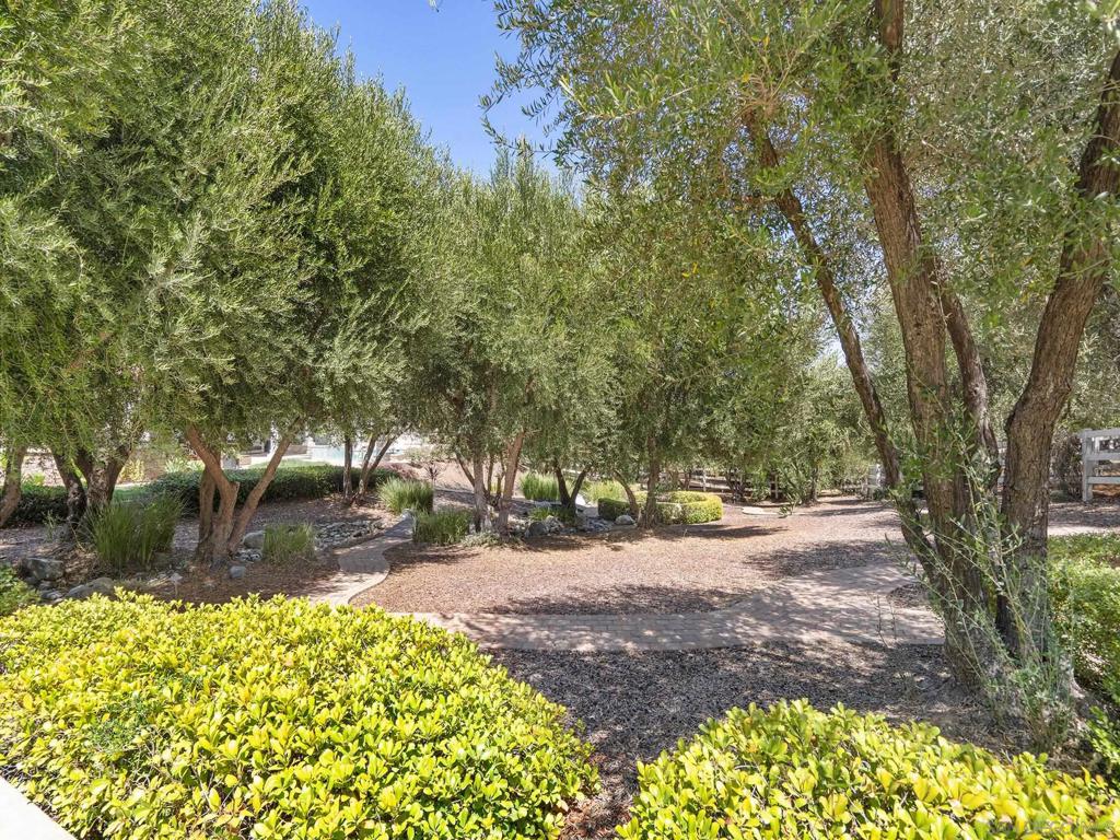 42909 Joshua Tree Ct Property Photo 40