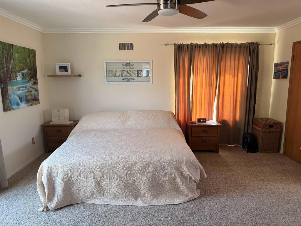 10041 N Gem Tree Way Property Photo 16