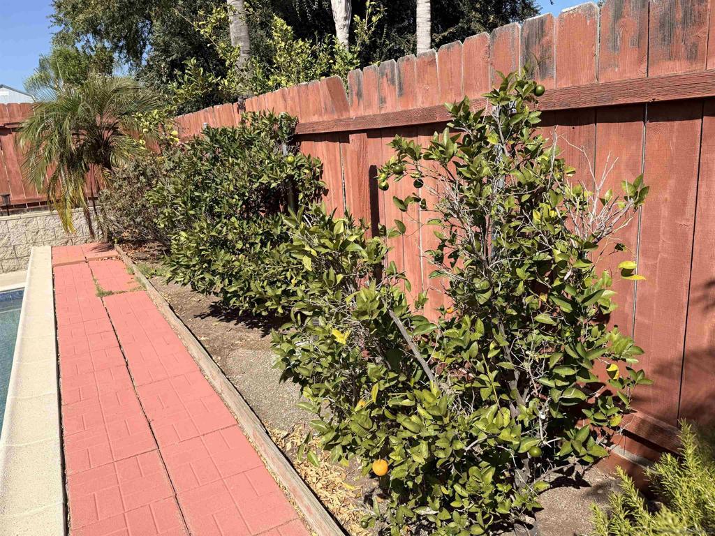 10041 N Gem Tree Way Property Photo 48