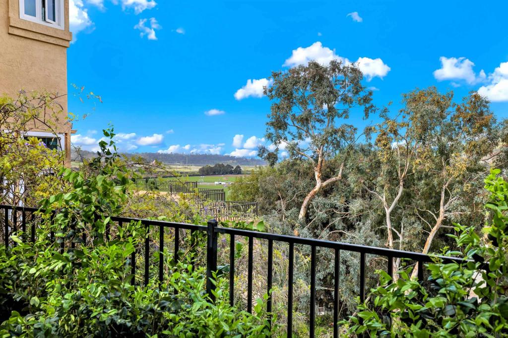 14740 Caminito Barbuda Property Photo 13