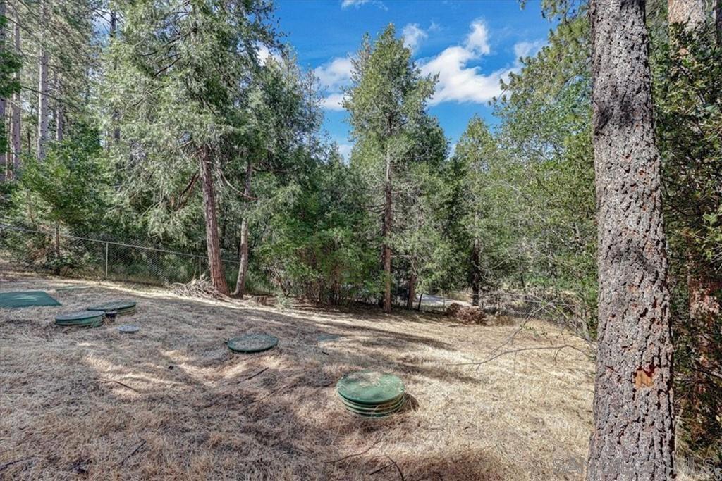 26127 Saunders Meadow Road Property Photo 5