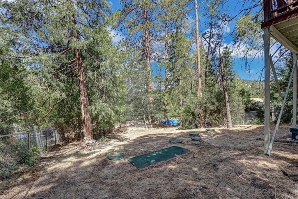 26127 Saunders Meadow Road Property Photo 6
