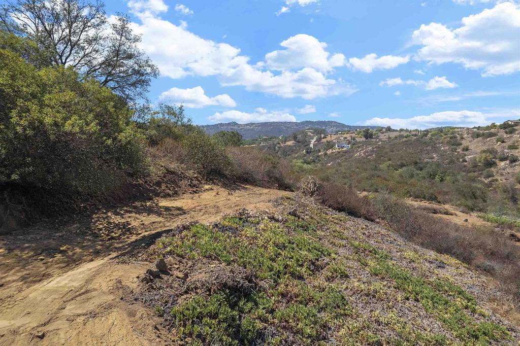 28964 Aerie Rd Property Photo 35