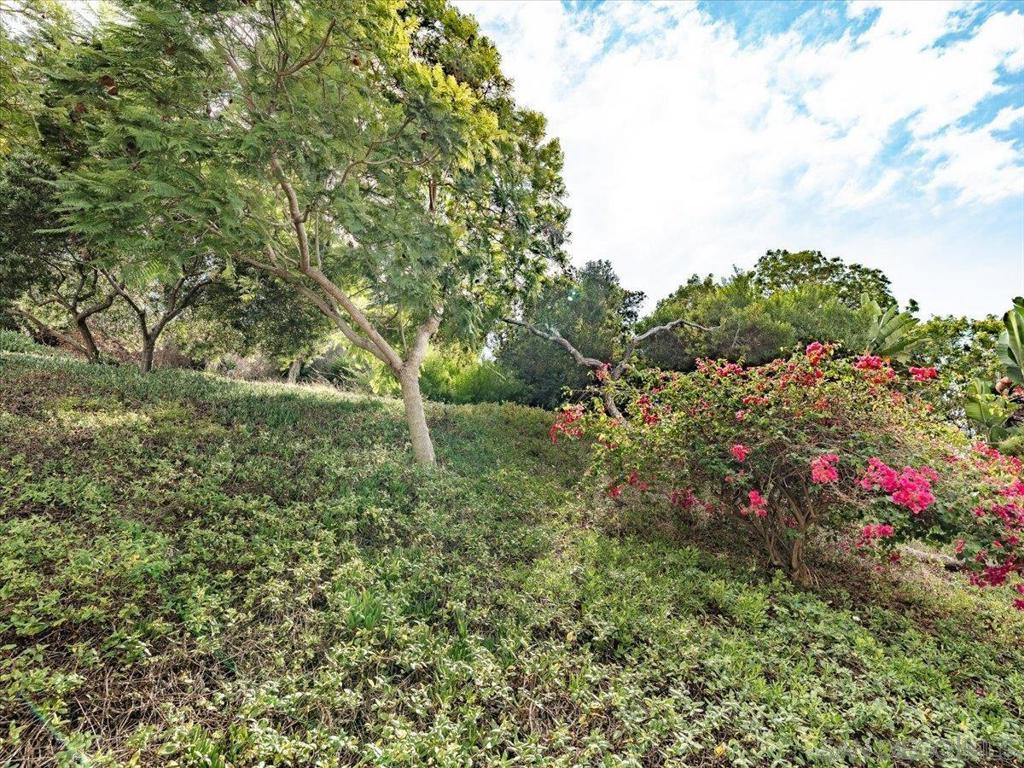 2431 La Costa Avenue B Property Photo 10