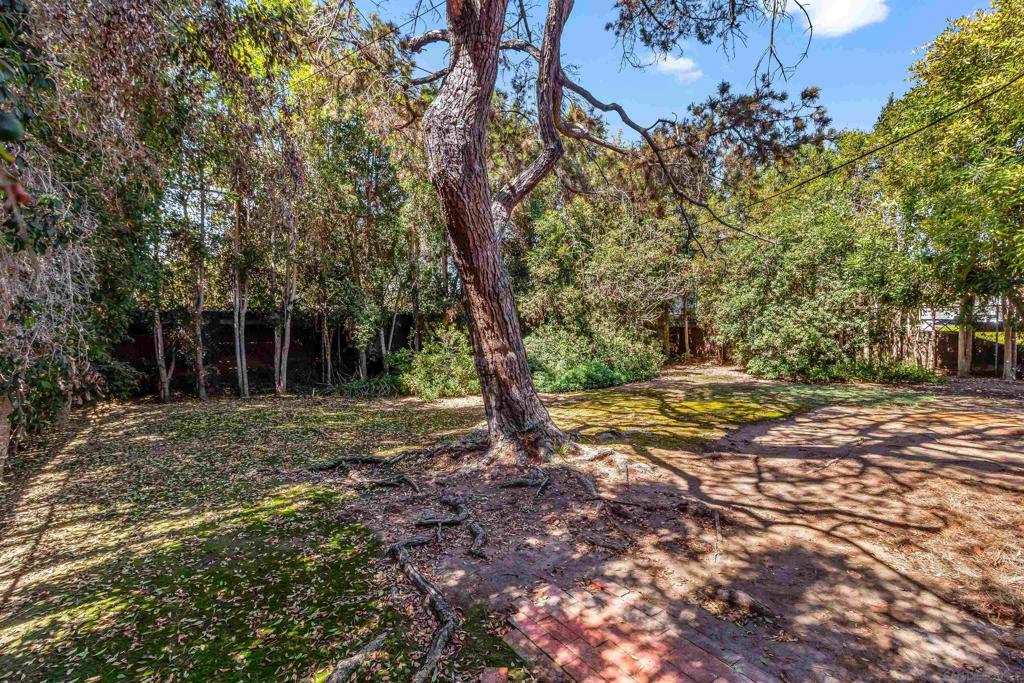 3564 Texas St Property Photo 33