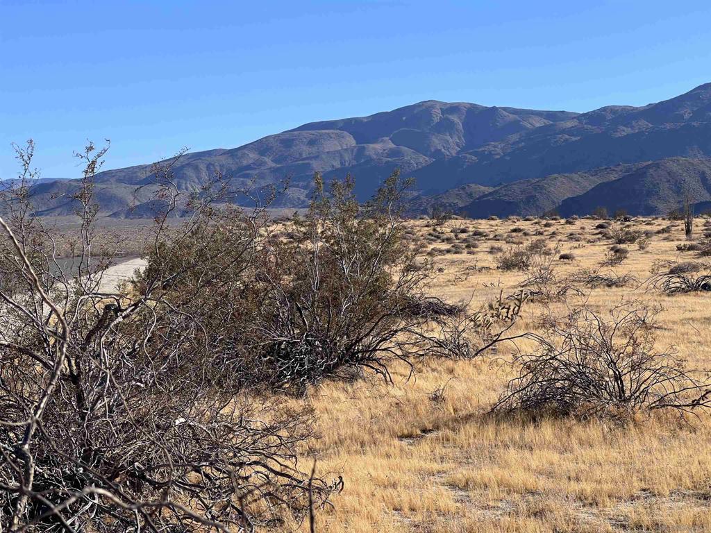 Borrego Springs Property Photo 3