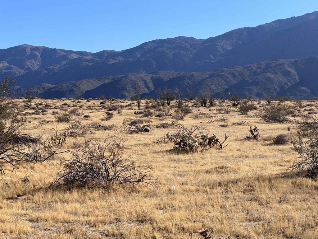 Borrego Springs Property Photo 4
