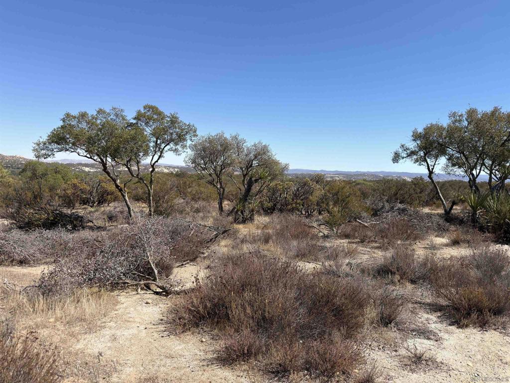 0 Moon Valley Rd Property Photo 6
