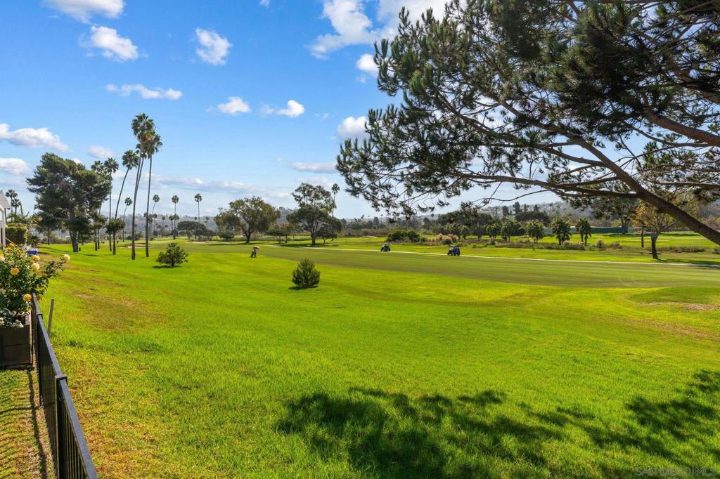 3805 Avenida Feliz Property Photo 69