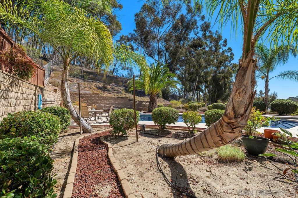 10917 Riesling Dr. Property Photo 24