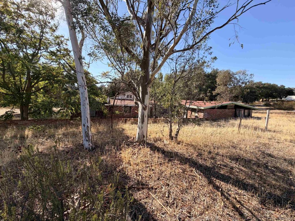 1536 Campo Truck Trl. Property Photo 6