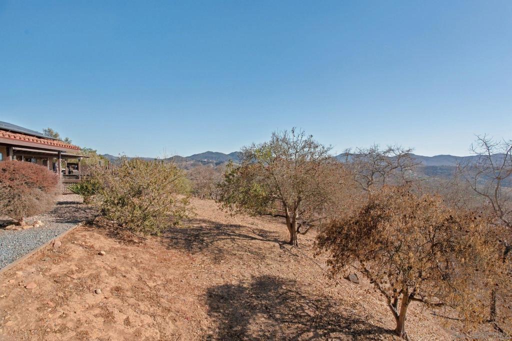 30138 Disney Lane Property Photo 11