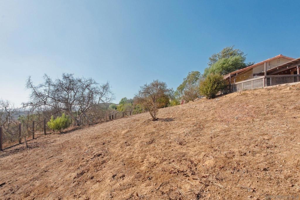 30138 Disney Lane Property Photo 52