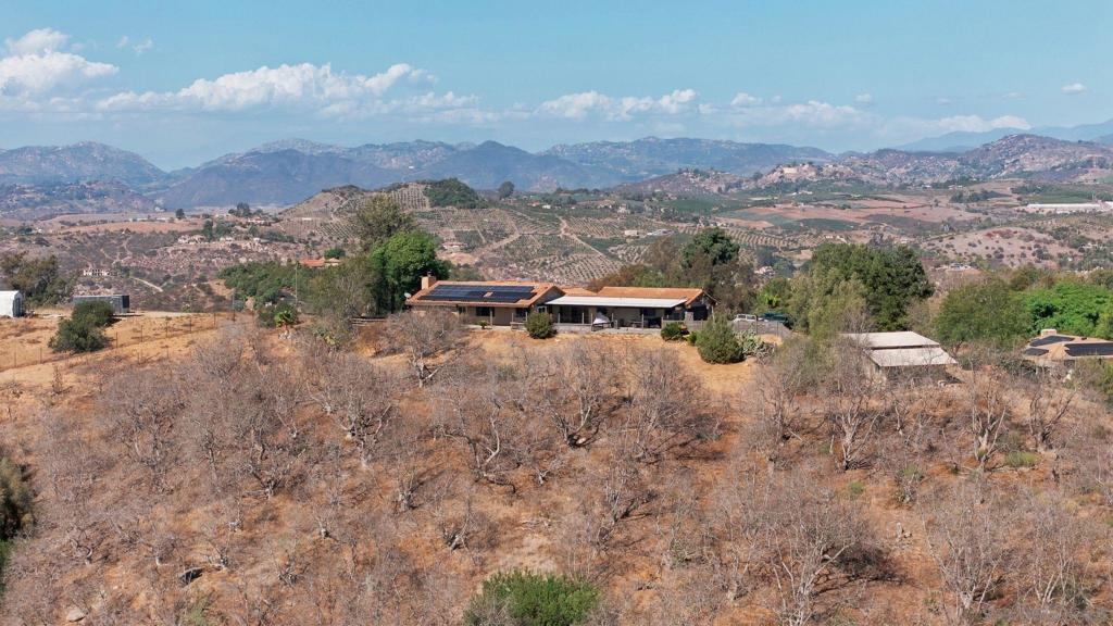 30138 Disney Lane Property Photo 55