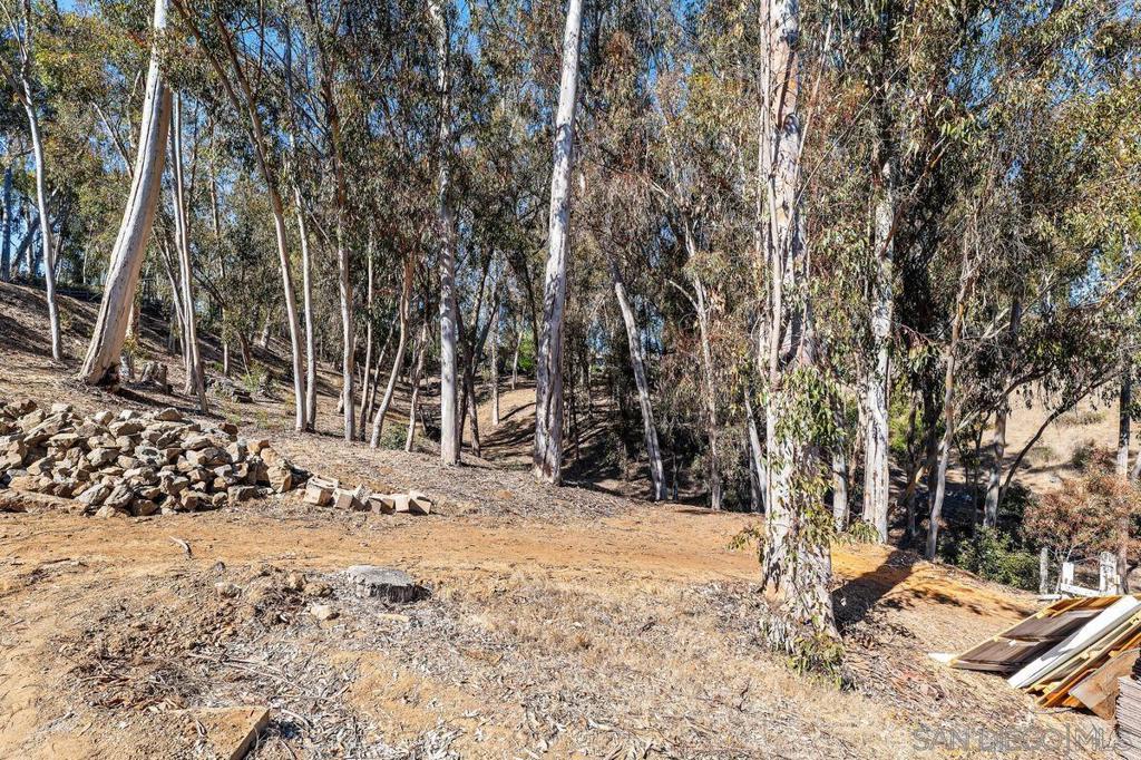 15121 Las Planideras Property Photo 37