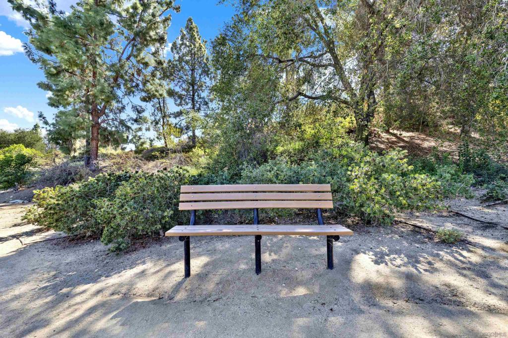 10864 Sabre Hill Dr 257 Property Photo 39