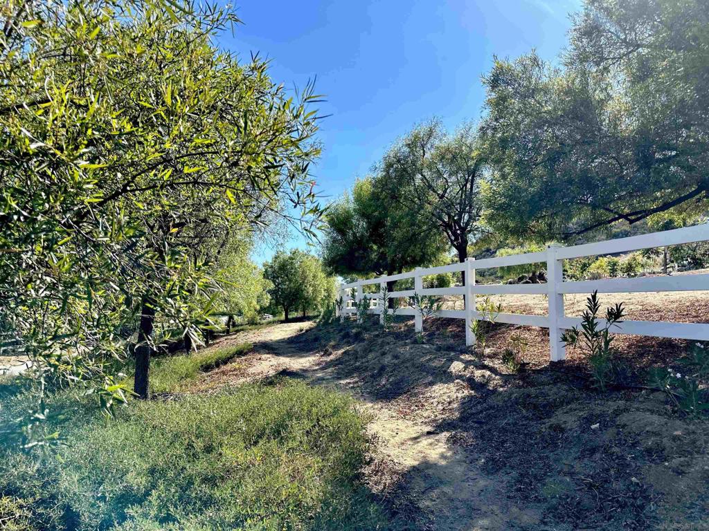 260024683SD Property Photo 3