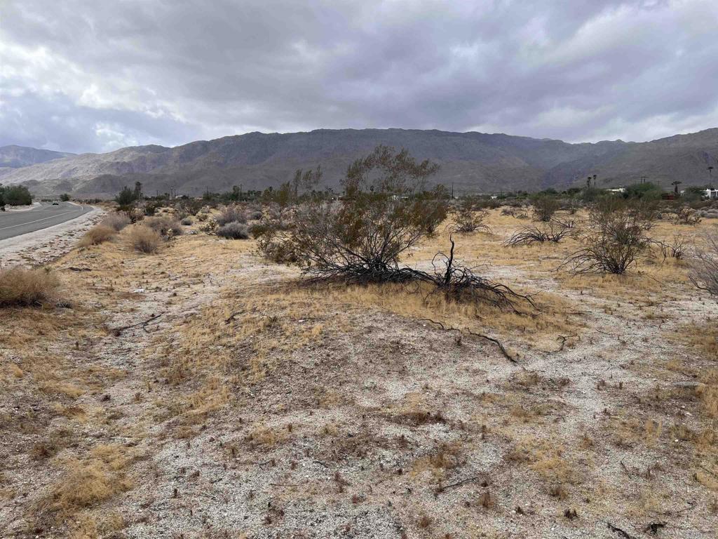 213 Borrego Springs Rd Property Photo 3