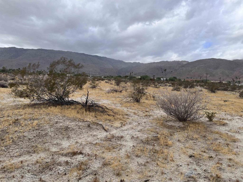 213 Borrego Springs Rd Property Photo 4