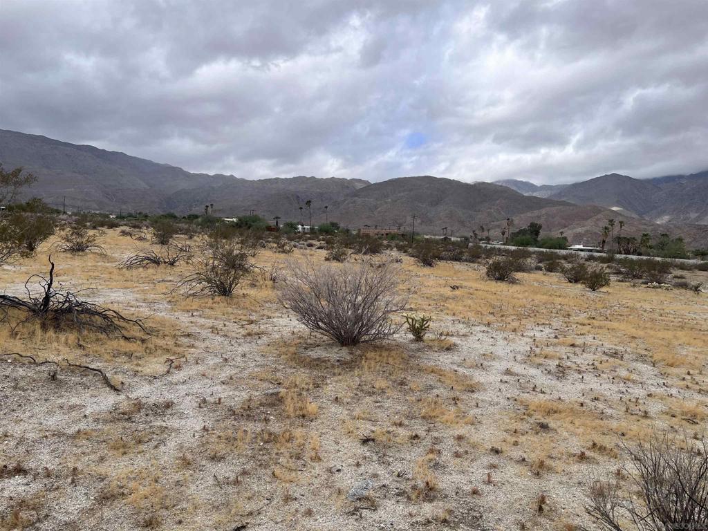 213 Borrego Springs Rd Property Photo 5
