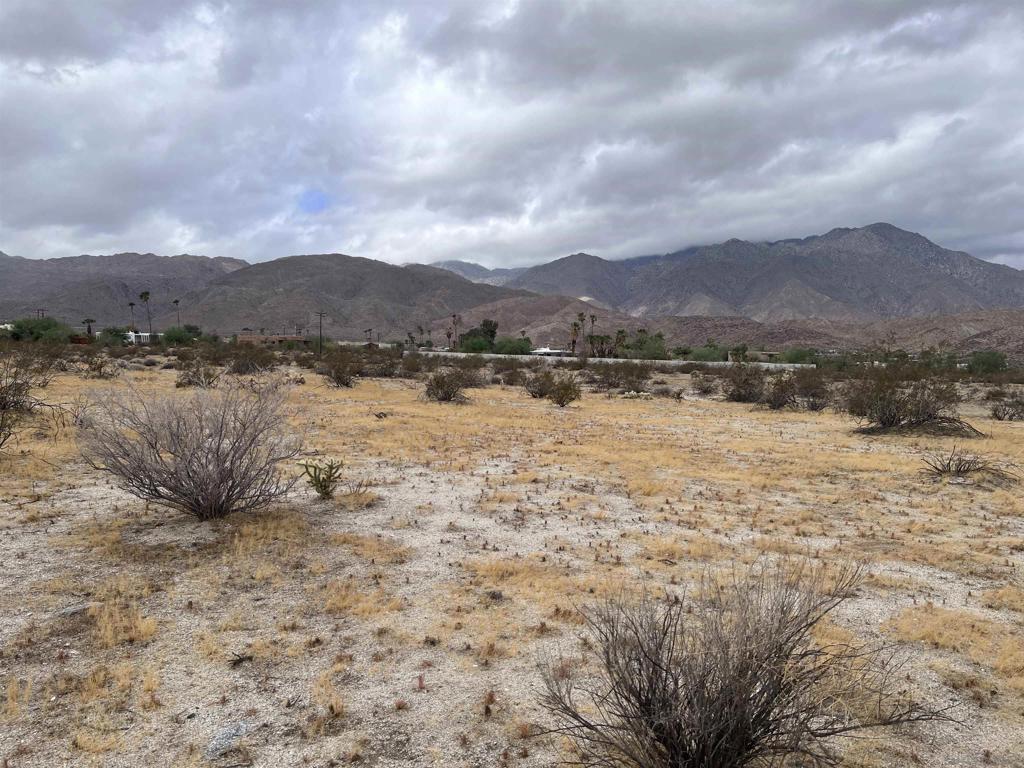 213 Borrego Springs Rd Property Photo 6