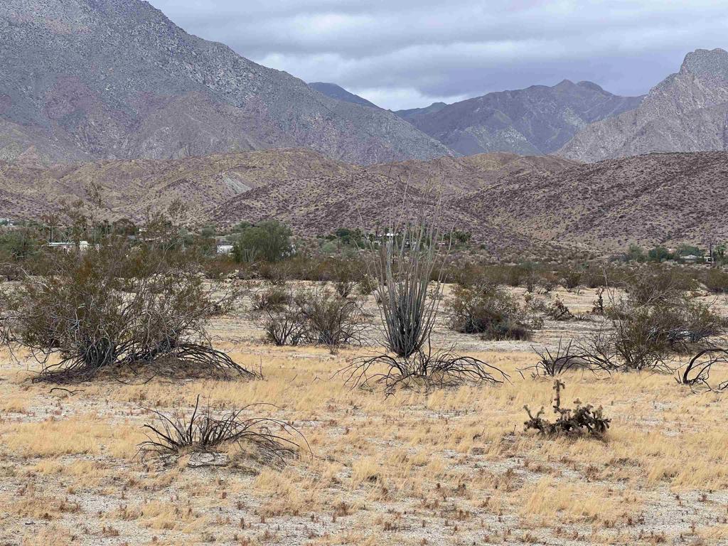213 Borrego Springs Rd Property Photo 8