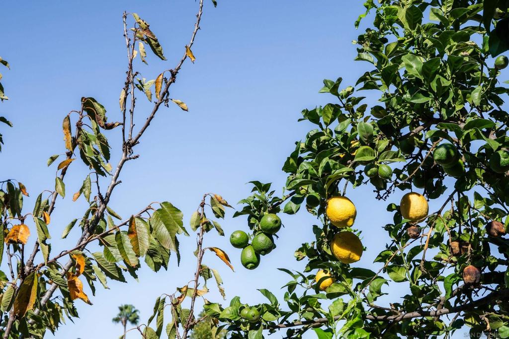 5831 Vale Way Property Photo 28