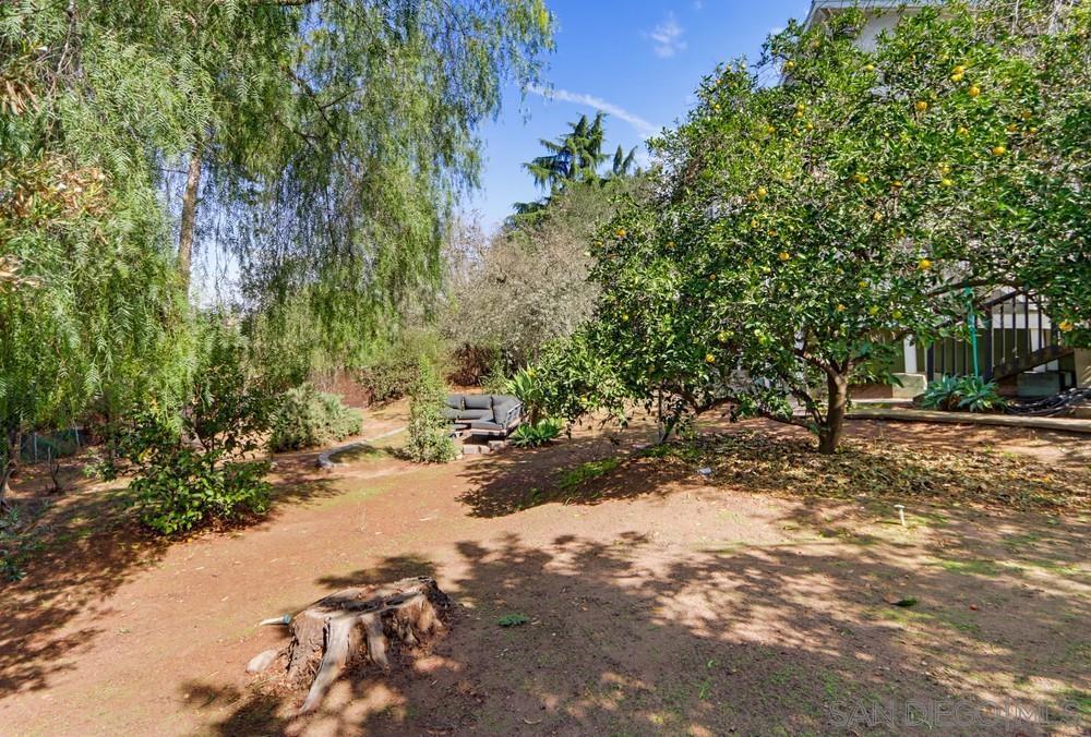 357 Alta Property Photo 39
