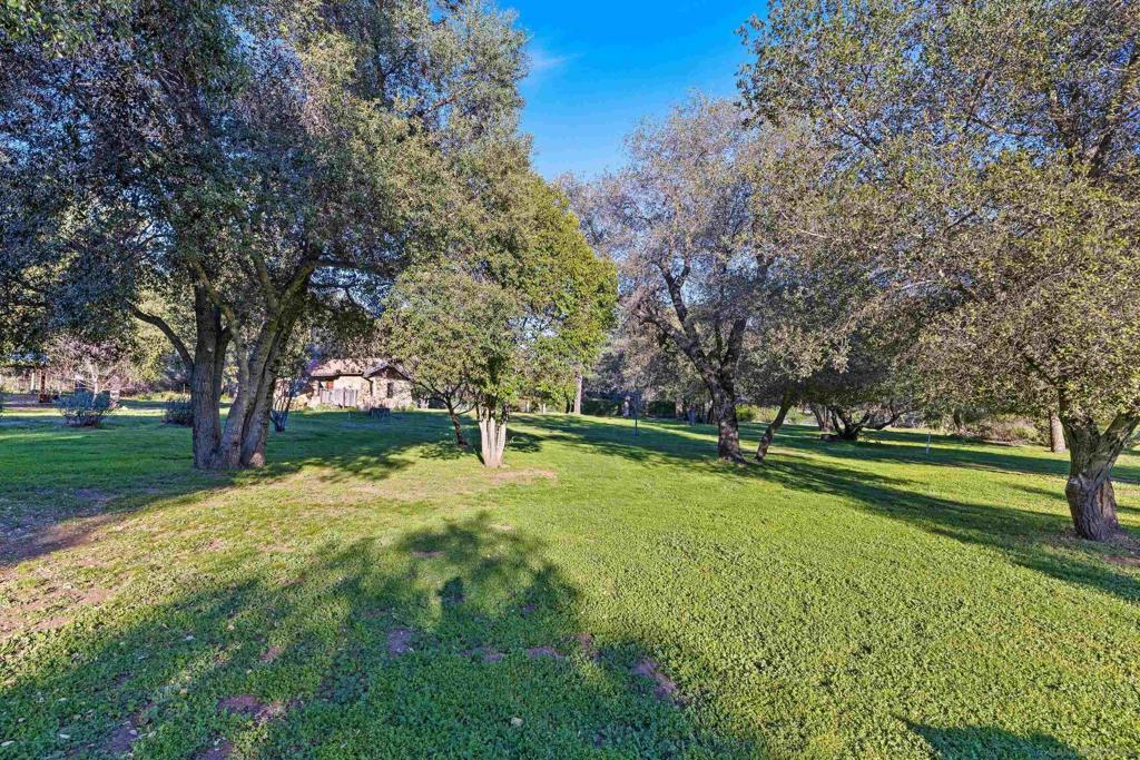 27546 Old Highway 80 Property Photo 42