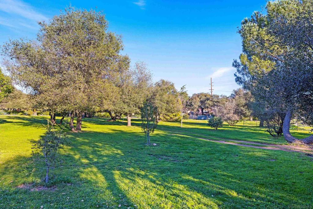 27546 Old Highway 80 Property Photo 43