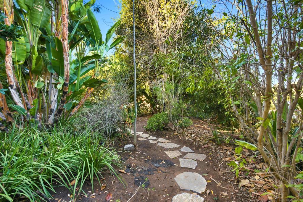 10810 Fuerte Dr. Property Photo 33