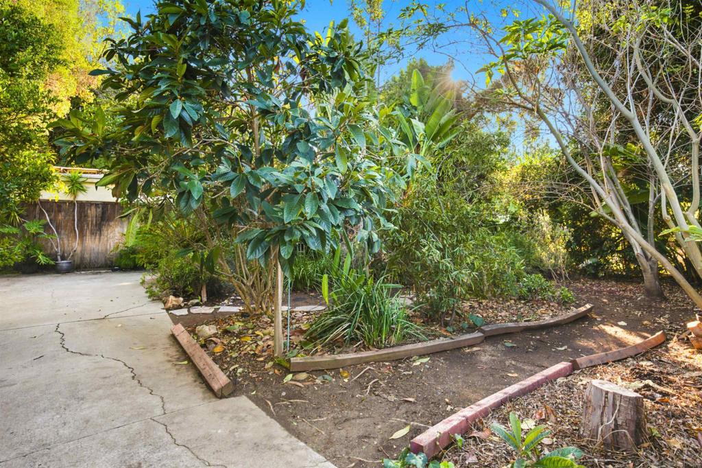 10810 Fuerte Dr. Property Photo 36